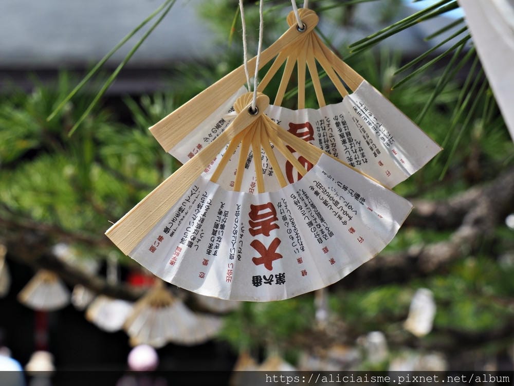 【海之京都】搭乘「青松號」，1日輕鬆遊三大絕景「天橋立」、智恩寺、飛龍觀、元伊勢籠神宮、真名井神社、傘松公園，品嚐在地美味及智慧之旅（含車班及交通）