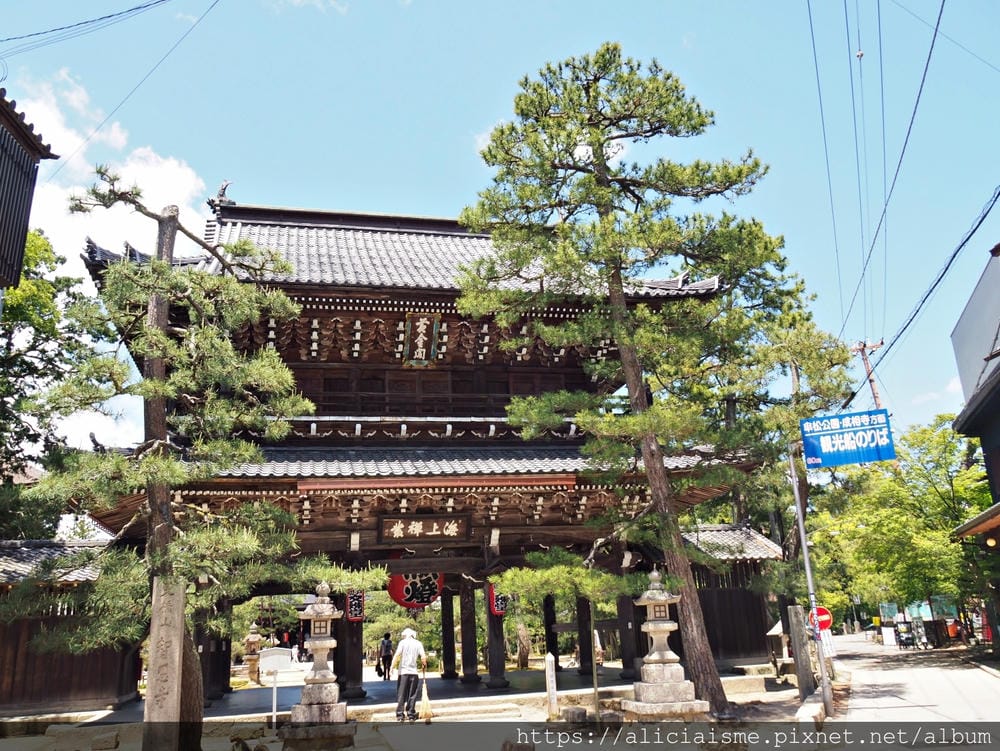 【海之京都】搭乘「青松號」，1日輕鬆遊三大絕景「天橋立」、智恩寺、飛龍觀、元伊勢籠神宮、真名井神社、傘松公園，品嚐在地美味及智慧之旅（含車班及交通）