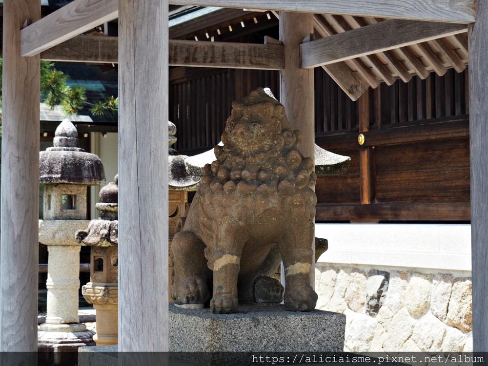 【海之京都】搭乘「青松號」，1日輕鬆遊三大絕景「天橋立」、智恩寺、飛龍觀、元伊勢籠神宮、真名井神社、傘松公園，品嚐在地美味及智慧之旅（含車班及交通）