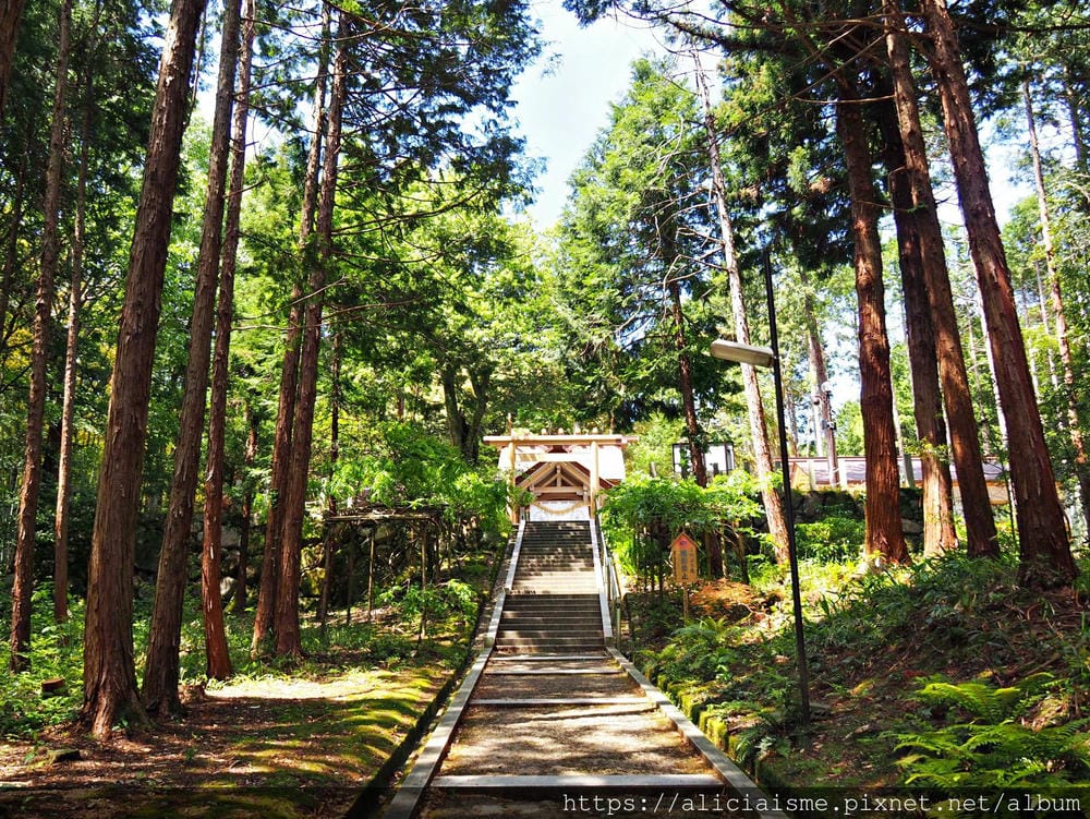 【海之京都】搭乘「青松號」，1日輕鬆遊三大絕景「天橋立」、智恩寺、飛龍觀、元伊勢籠神宮、真名井神社、傘松公園，品嚐在地美味及智慧之旅（含車班及交通）