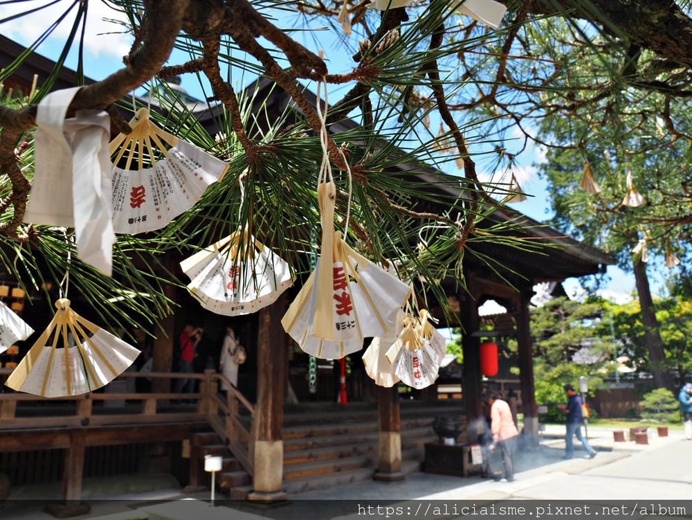 【海之京都】搭乘「青松號」，1日輕鬆遊三大絕景「天橋立」、智恩寺、飛龍觀、元伊勢籠神宮、真名井神社、傘松公園，品嚐在地美味及智慧之旅（含車班及交通）
