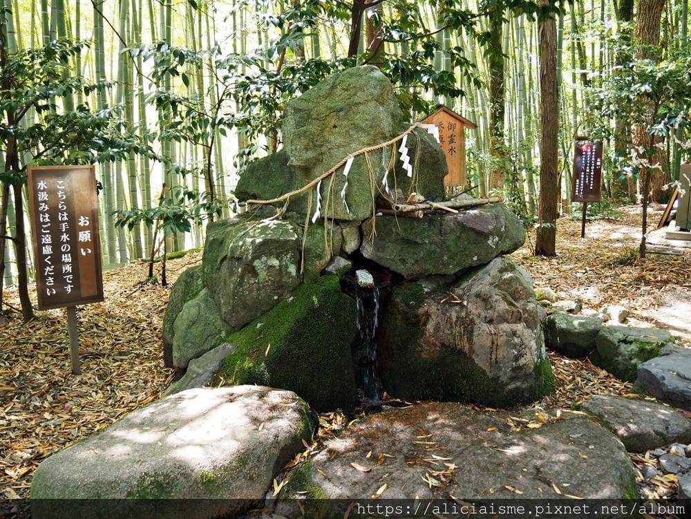 【海之京都】搭乘「青松號」，1日輕鬆遊三大絕景「天橋立」、智恩寺、飛龍觀、元伊勢籠神宮、真名井神社、傘松公園，品嚐在地美味及智慧之旅（含車班及交通）