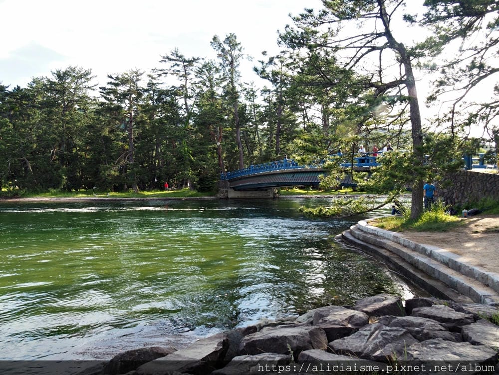 【海之京都】搭乘「青松號」，1日輕鬆遊三大絕景「天橋立」、智恩寺、飛龍觀、元伊勢籠神宮、真名井神社、傘松公園，品嚐在地美味及智慧之旅（含車班及交通）