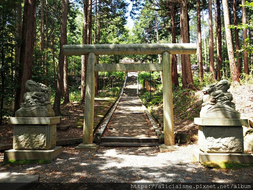 【海之京都】搭乘「青松號」，1日輕鬆遊三大絕景「天橋立」、智恩寺、飛龍觀、元伊勢籠神宮、真名井神社、傘松公園，品嚐在地美味及智慧之旅（含車班及交通）