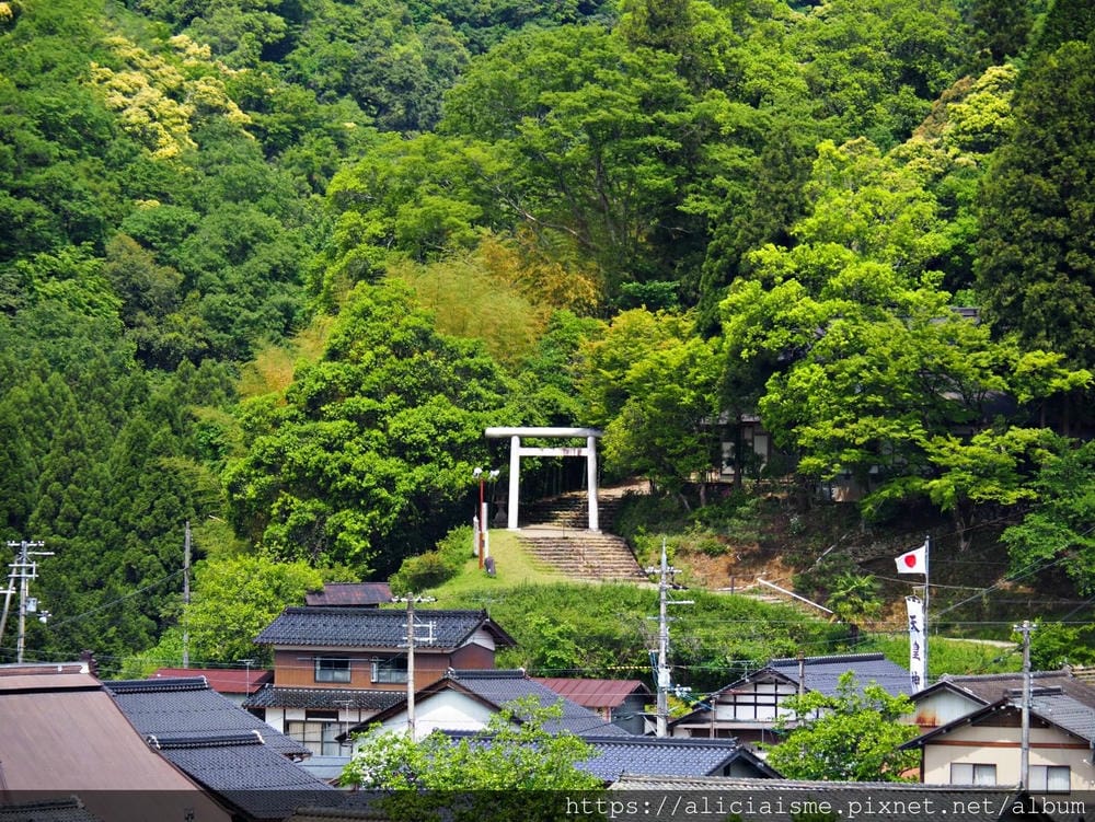 【海之京都】搭乘「青松號」，1日輕鬆遊三大絕景「天橋立」、智恩寺、飛龍觀、元伊勢籠神宮、真名井神社、傘松公園，品嚐在地美味及智慧之旅（含車班及交通）