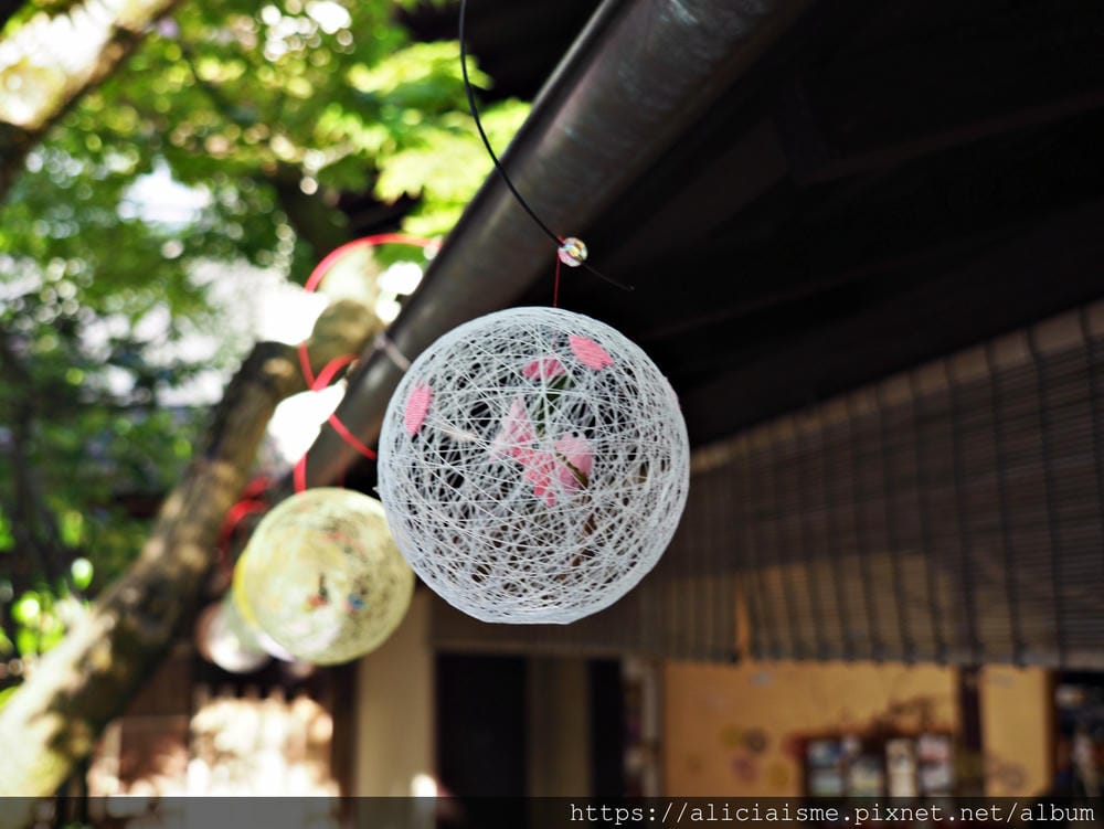 【海之京都】搭乘「青松號」，1日輕鬆遊三大絕景「天橋立」、智恩寺、飛龍觀、元伊勢籠神宮、真名井神社、傘松公園，品嚐在地美味及智慧之旅（含車班及交通）