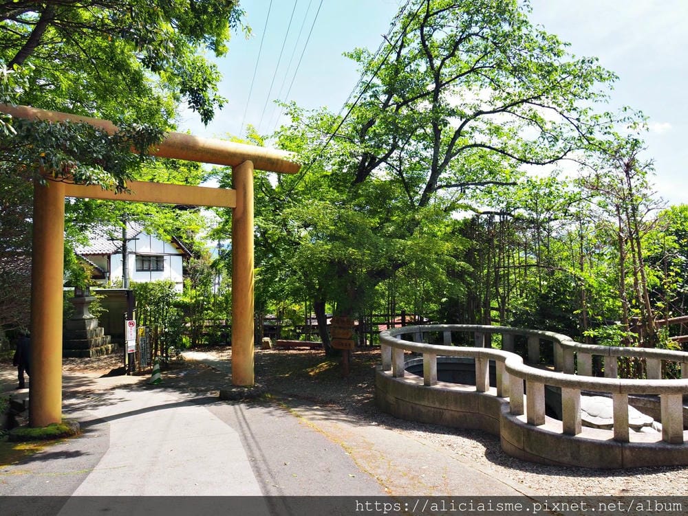 【海之京都】搭乘「青松號」，1日輕鬆遊三大絕景「天橋立」、智恩寺、飛龍觀、元伊勢籠神宮、真名井神社、傘松公園，品嚐在地美味及智慧之旅（含車班及交通）