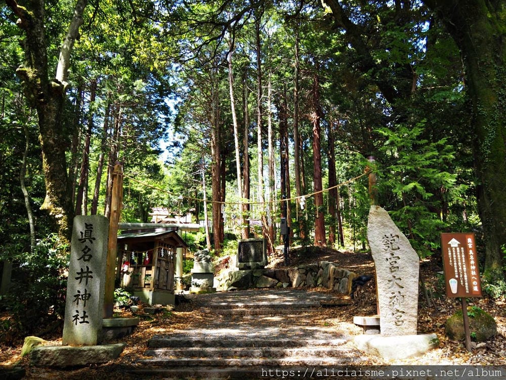 【海之京都】搭乘「青松號」，1日輕鬆遊三大絕景「天橋立」、智恩寺、飛龍觀、元伊勢籠神宮、真名井神社、傘松公園，品嚐在地美味及智慧之旅（含車班及交通）