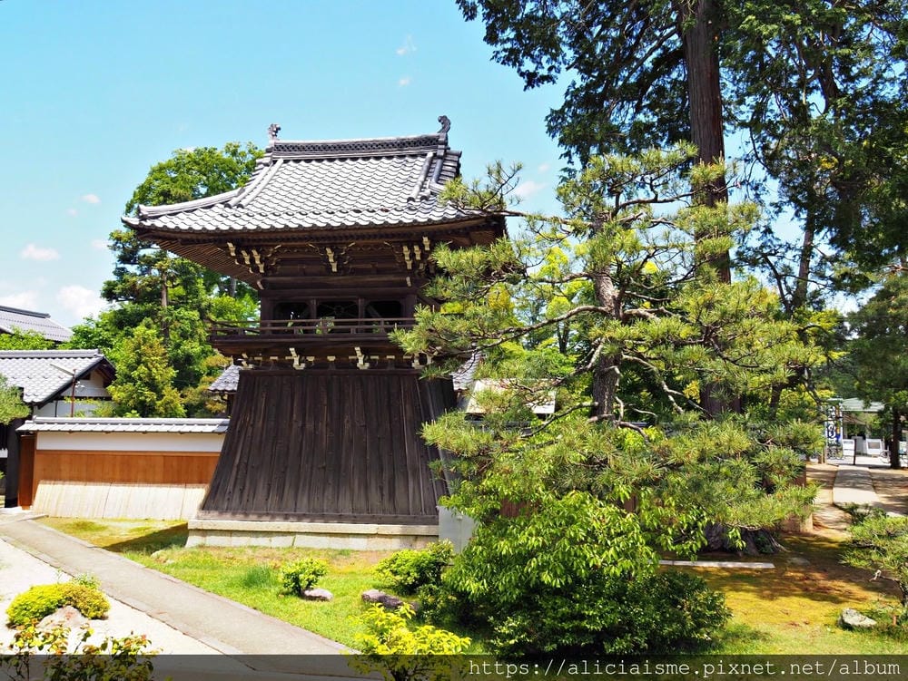 【海之京都】搭乘「青松號」，1日輕鬆遊三大絕景「天橋立」、智恩寺、飛龍觀、元伊勢籠神宮、真名井神社、傘松公園，品嚐在地美味及智慧之旅（含車班及交通）