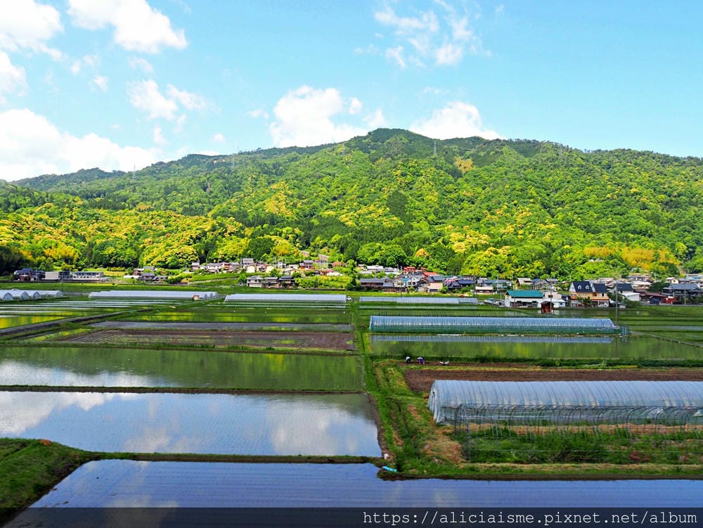 【海之京都】搭乘「青松號」，1日輕鬆遊三大絕景「天橋立」、智恩寺、飛龍觀、元伊勢籠神宮、真名井神社、傘松公園，品嚐在地美味及智慧之旅（含車班及交通）