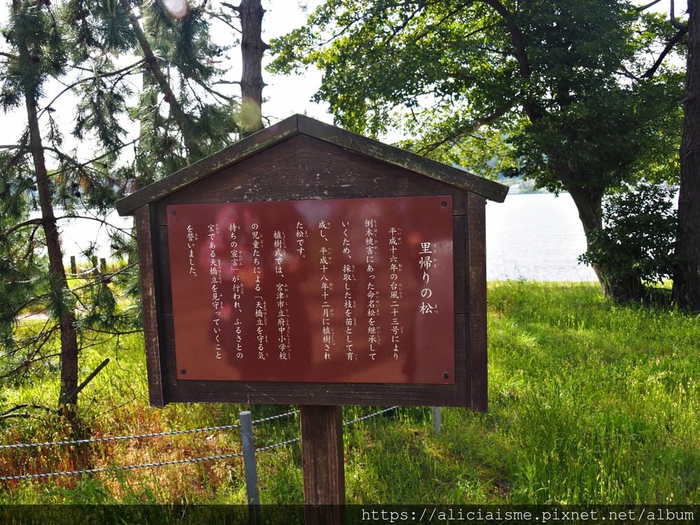 【海之京都】搭乘「青松號」，1日輕鬆遊三大絕景「天橋立」、智恩寺、飛龍觀、元伊勢籠神宮、真名井神社、傘松公園，品嚐在地美味及智慧之旅（含車班及交通）