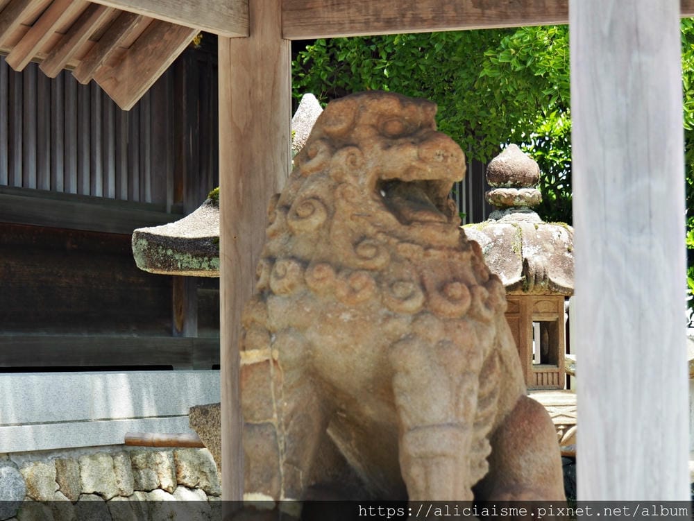 【海之京都】搭乘「青松號」，1日輕鬆遊三大絕景「天橋立」、智恩寺、飛龍觀、元伊勢籠神宮、真名井神社、傘松公園，品嚐在地美味及智慧之旅（含車班及交通）