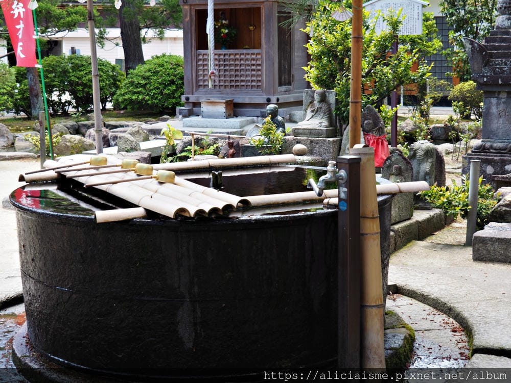 【海之京都】搭乘「青松號」，1日輕鬆遊三大絕景「天橋立」、智恩寺、飛龍觀、元伊勢籠神宮、真名井神社、傘松公園，品嚐在地美味及智慧之旅（含車班及交通）