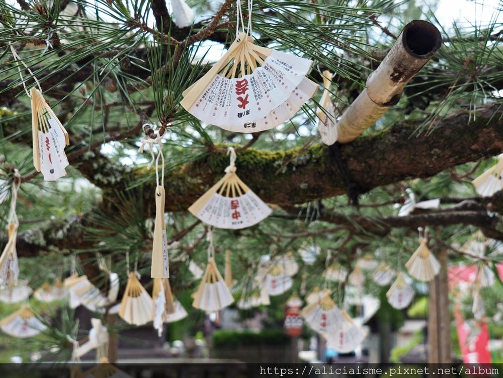 【海之京都】搭乘「青松號」，1日輕鬆遊三大絕景「天橋立」、智恩寺、飛龍觀、元伊勢籠神宮、真名井神社、傘松公園，品嚐在地美味及智慧之旅（含車班及交通）