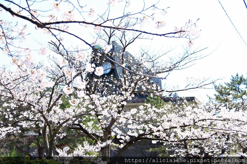 【秋田市】(2019更新)安藤忠雄 X 新秋田縣立美術館:將四季千秋公園納入視野,看藤田嗣治畫筆下的四季行事