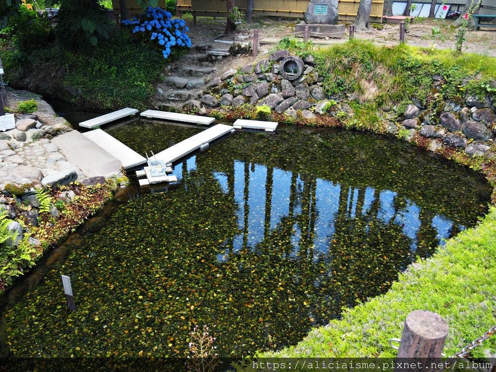 【秋田縣】美鄉町「六鄉湧水群散策」，享用名水豆腐餐、喝古早味蘇打水，炎夏裡的真正透心涼