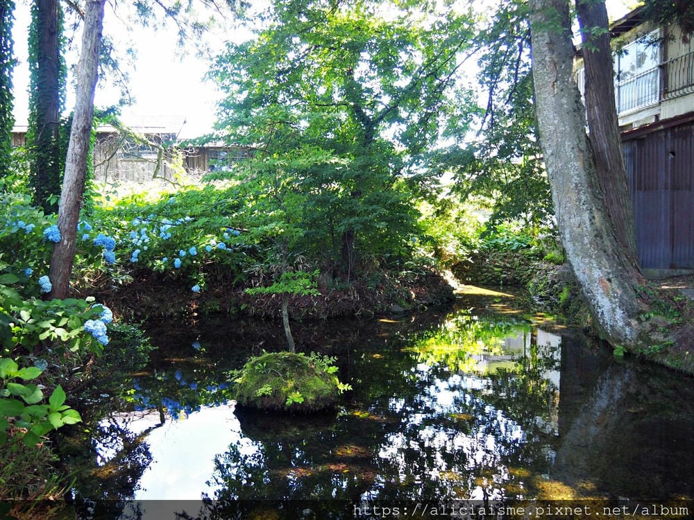 【秋田縣】美鄉町「六鄉湧水群散策」，享用名水豆腐餐、喝古早味蘇打水，炎夏裡的真正透心涼