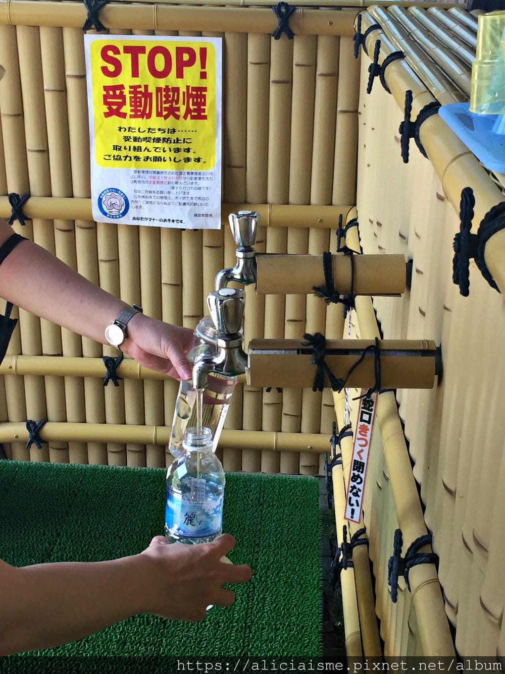 【秋田縣】美鄉町「六鄉湧水群散策」，享用名水豆腐餐、喝古早味蘇打水，炎夏裡的真正透心涼