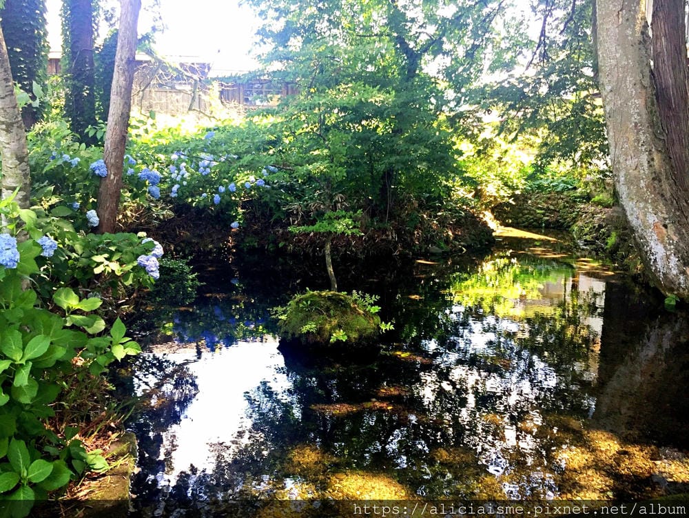 【秋田縣】美鄉町「六鄉湧水群散策」，享用名水豆腐餐、喝古早味蘇打水，炎夏裡的真正透心涼