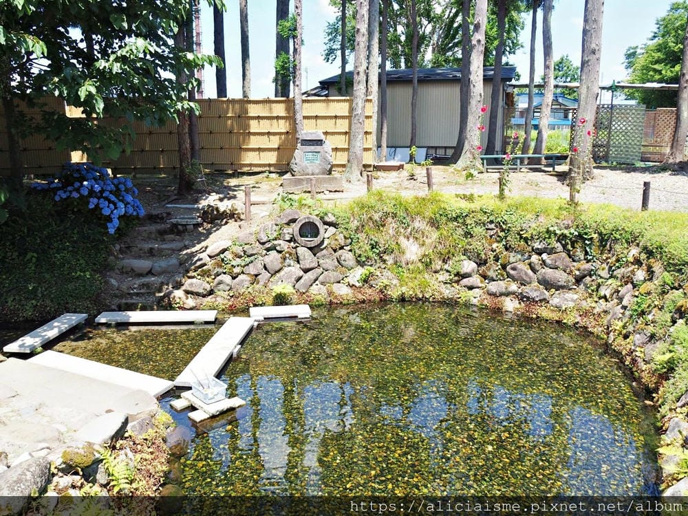 【秋田縣】美鄉町「六鄉湧水群散策」，享用名水豆腐餐、喝古早味蘇打水，炎夏裡的真正透心涼