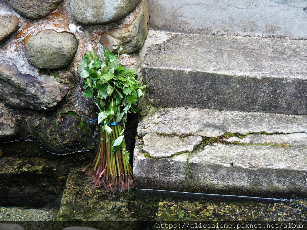 【秋田縣】美鄉町「六鄉湧水群散策」，享用名水豆腐餐、喝古早味蘇打水，炎夏裡的真正透心涼
