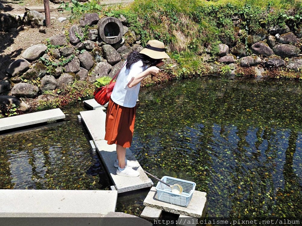【秋田縣】美鄉町「六鄉湧水群散策」，享用名水豆腐餐、喝古早味蘇打水，炎夏裡的真正透心涼
