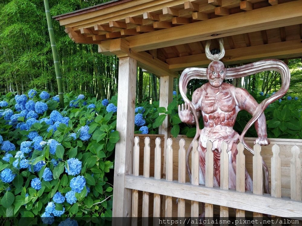 【秋田縣】男鹿半島:「雲昌寺」裡滿溢到日本海的紫陽花絕景、里山咖啡「ににぎ」(含花期、交通方式,期間限定巴士)