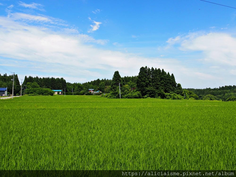 【秋田縣】男鹿半島:「雲昌寺」裡滿溢到日本海的紫陽花絕景、里山咖啡「ににぎ」(含花期、交通方式,期間限定巴士)