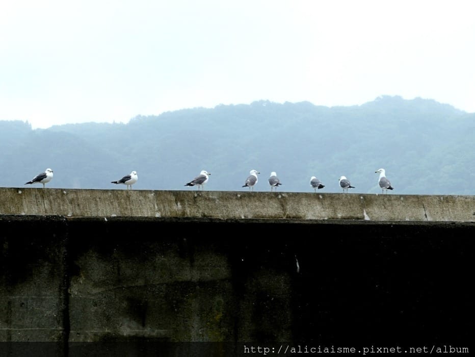 【岩手縣】(2019更新)淨土之濱:遊船觀奇岩、藍洞探險、海灘步道一親海上奇岩絕景,一訪林依晨微電影中最美秘境@三陸海岸地質公園