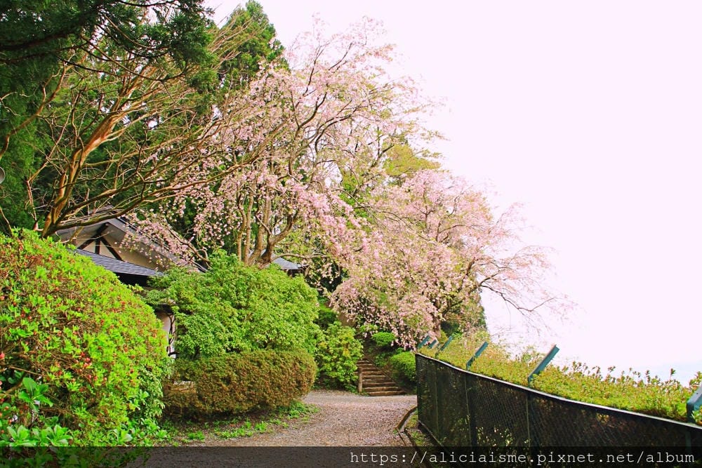 【岩手縣 | 平泉一日觀光】中尊寺:世界遺產裡的黄金國度、淨土美地(含平泉交通、觀光規劃)