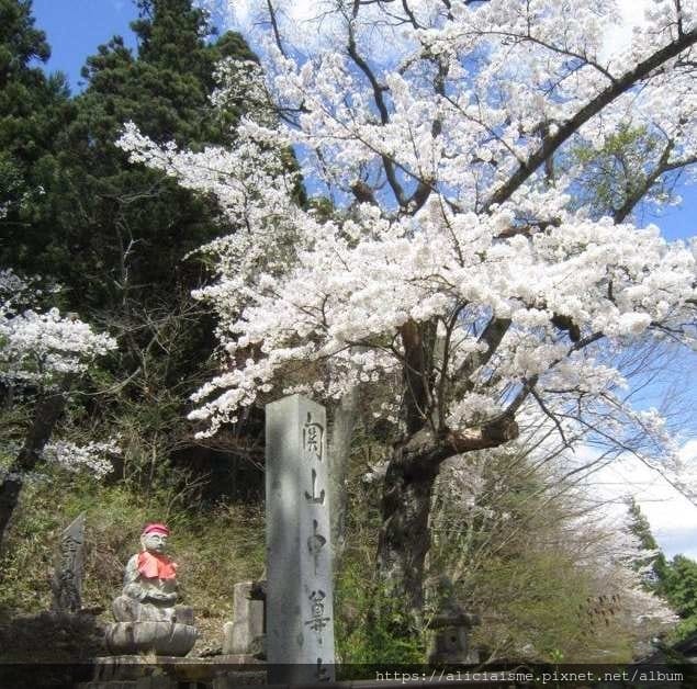 【岩手縣 | 平泉一日觀光】中尊寺:世界遺產裡的黄金國度、淨土美地(含平泉交通、觀光規劃)