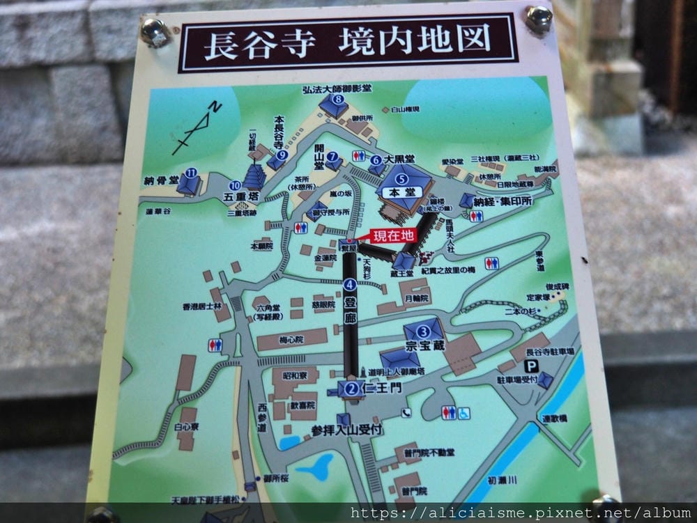 batch_P9070568.JPG