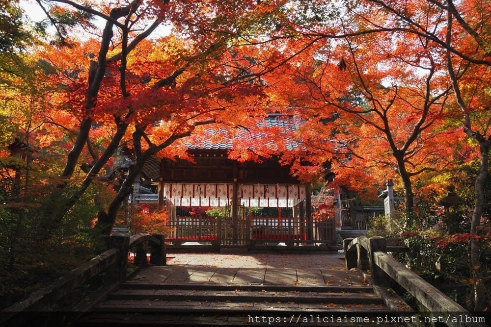 【旅日制霸–富邦J卡】 最新活動 -日韓消費全面3.3%回饋，期間限定的〈深夜J客533 2.0活動〉於指定時段再加碼台灣地區指定便利超商5％回饋、其他消費回饋3%