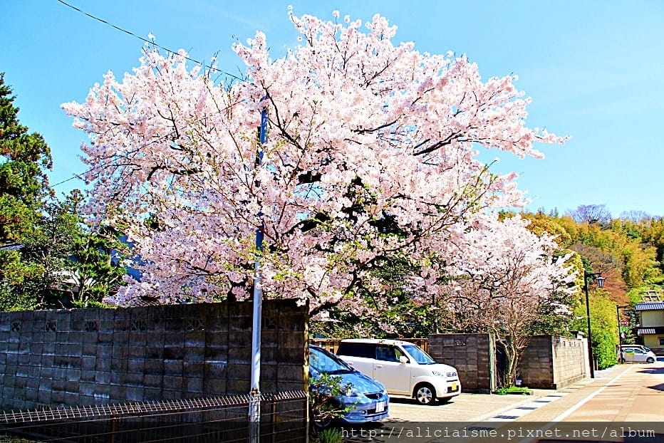 【石川縣】谷口吉生 X 鈴木大拙館：建築美學禪行旅＠金澤市