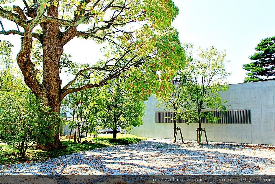 【石川縣】谷口吉生 X 鈴木大拙館：建築美學禪行旅＠金澤市