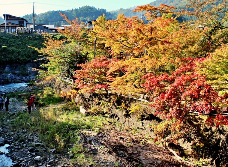 batch_IMG_9198.JPG