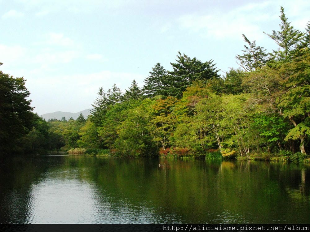 【長野縣】雲場池~輕井澤最浪漫的池畔楓景 【長野縣】雲場池~輕井澤最浪漫的池畔楓景