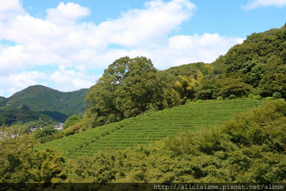 【九州 | 佐賀】(2023)台灣虎航直飛!5天4夜小奢華溫泉味之宿、美食藝術旅(含行程、交通、飯店分享)