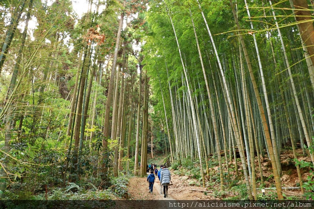 【九州 | 佐賀】(2023)台灣虎航直飛!5天4夜小奢華溫泉味之宿、美食藝術旅(含行程、交通、飯店分享)