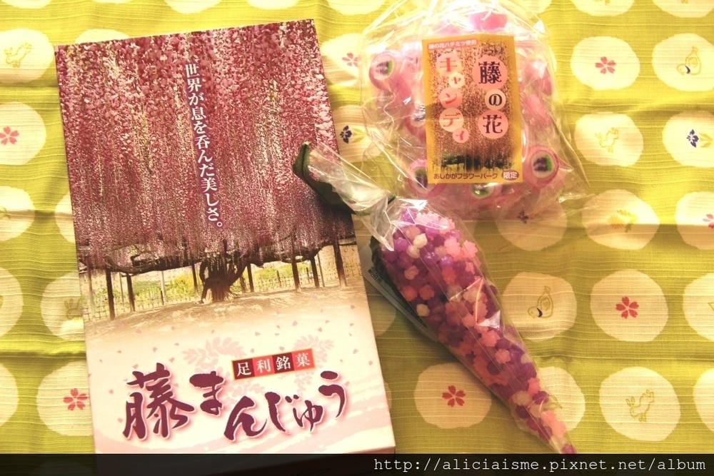 【栃木縣】（2023更新）足利紫藤公園~飛舞的紫蝶，入選CN