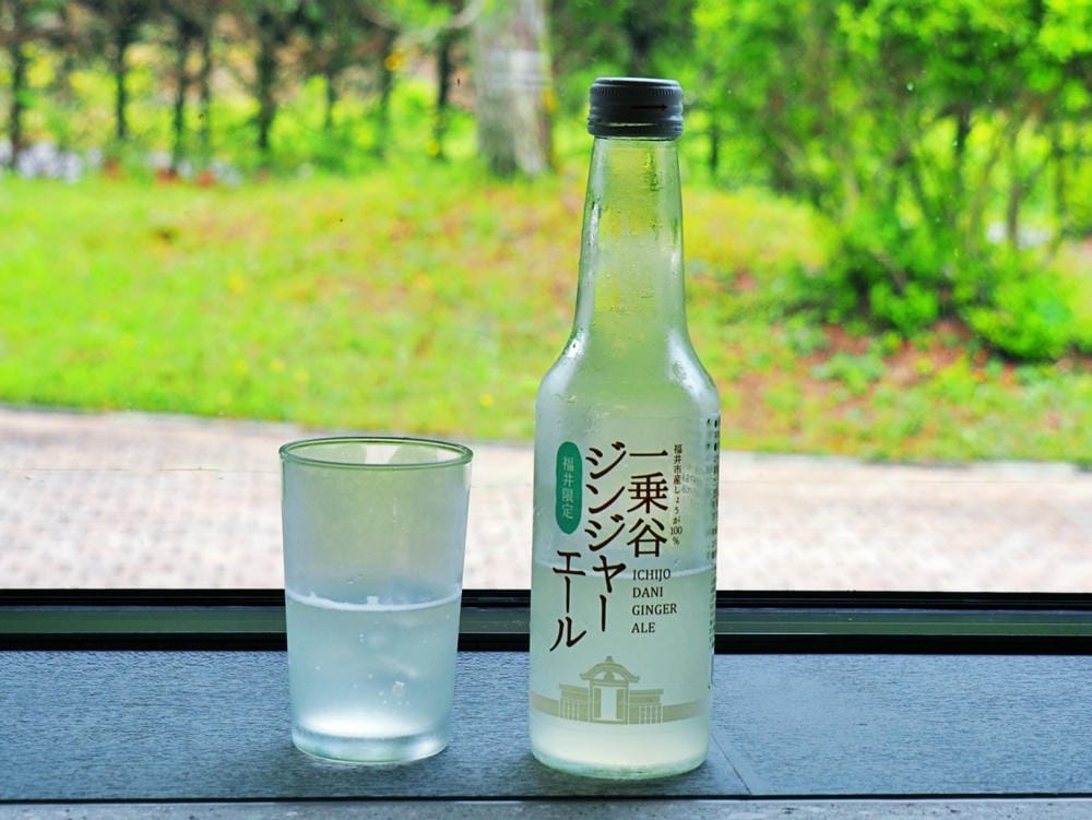 【福井縣】一乘谷站:日本龐貝城再現,來一趟規模最大的中世紀一 【福井縣】一乘谷站:日本龐貝城再現,來一趟規模最大的中世紀一