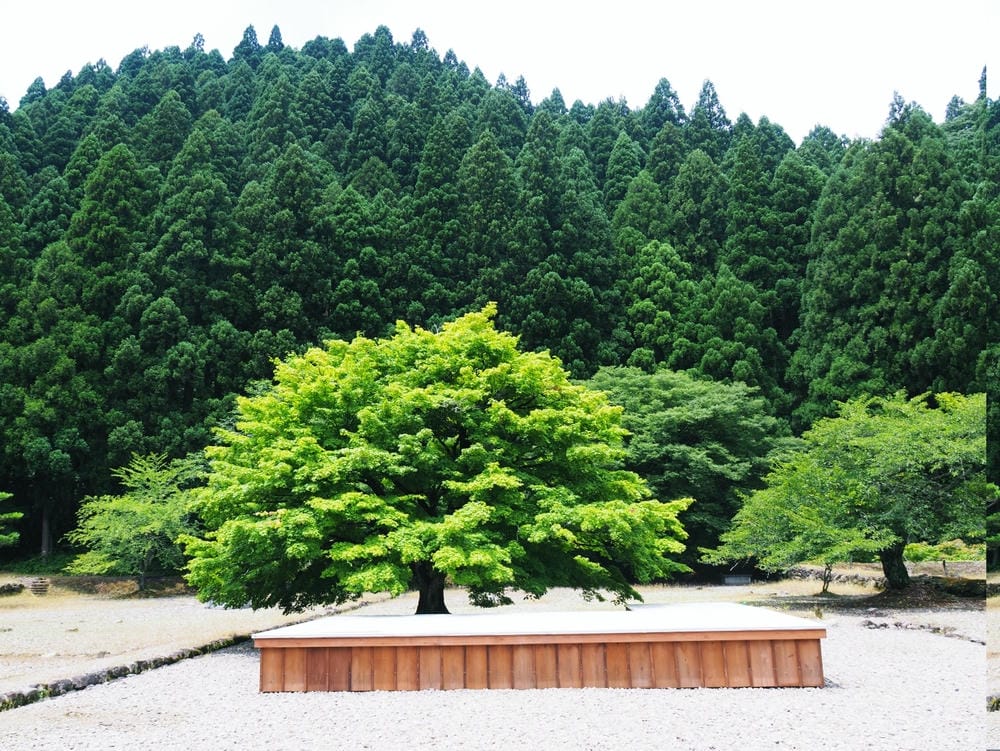 【福井縣】一乘谷站:日本龐貝城再現,來一趟規模最大的中世紀一 【福井縣】一乘谷站:日本龐貝城再現,來一趟規模最大的中世紀一