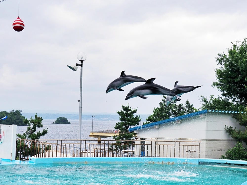 【石川縣 | 和倉溫泉】千年溫泉鄉裡的藍色旅行：能登島X和倉