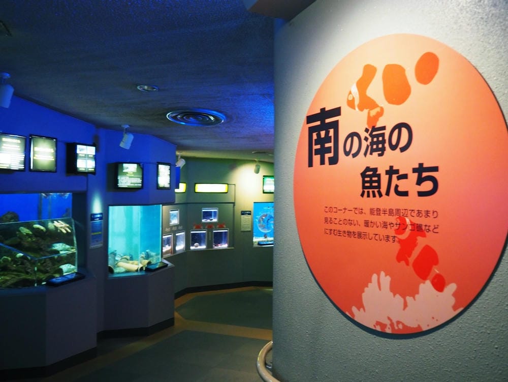 【石川縣 | 和倉溫泉】千年溫泉鄉裡的藍色旅行：能登島X和倉