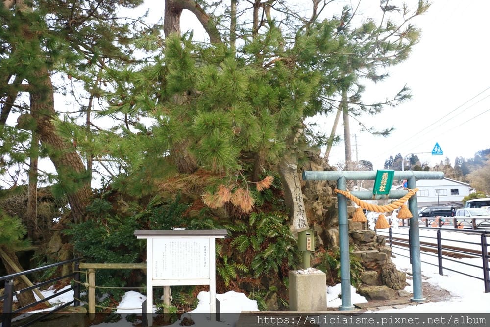 【富山縣 | 雨晴海岸】（2023更新）純白的道之驛「雨晴」