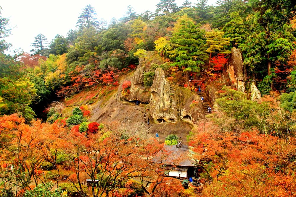 【石川縣 | 小松市】2024北陸新幹線新站！離小松機場僅1