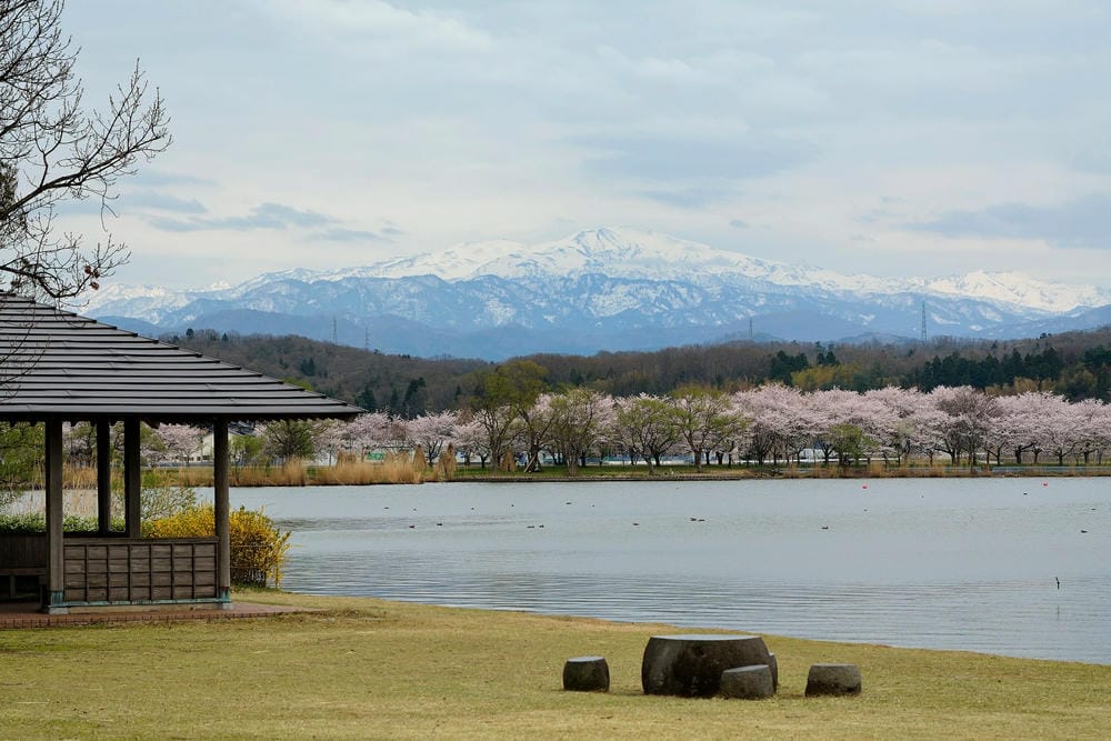 【石川縣 | 小松市】2024北陸新幹線新站！離小松機場僅1