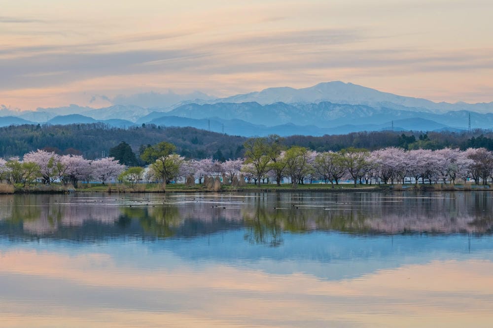 【石川縣 | 小松市】2024北陸新幹線新站！離小松機場僅1