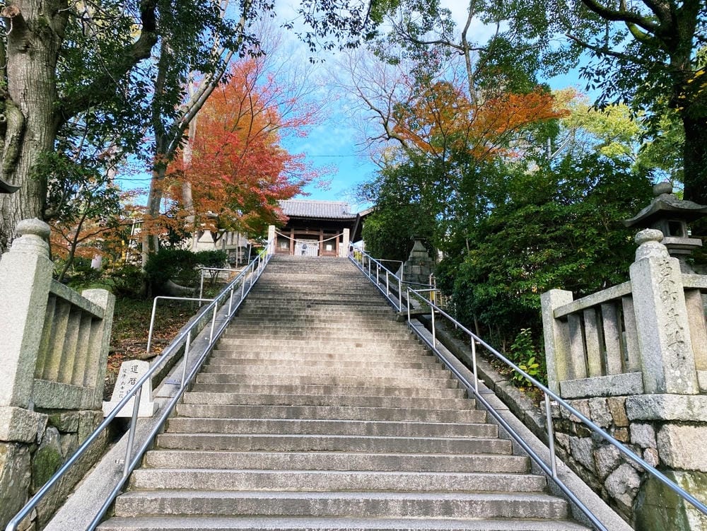 【岡山縣】(2023-2024關西+岡山+倉敷超值票券)一日 【岡山縣】(2023-2024關西+岡山+倉敷超值票券)一日