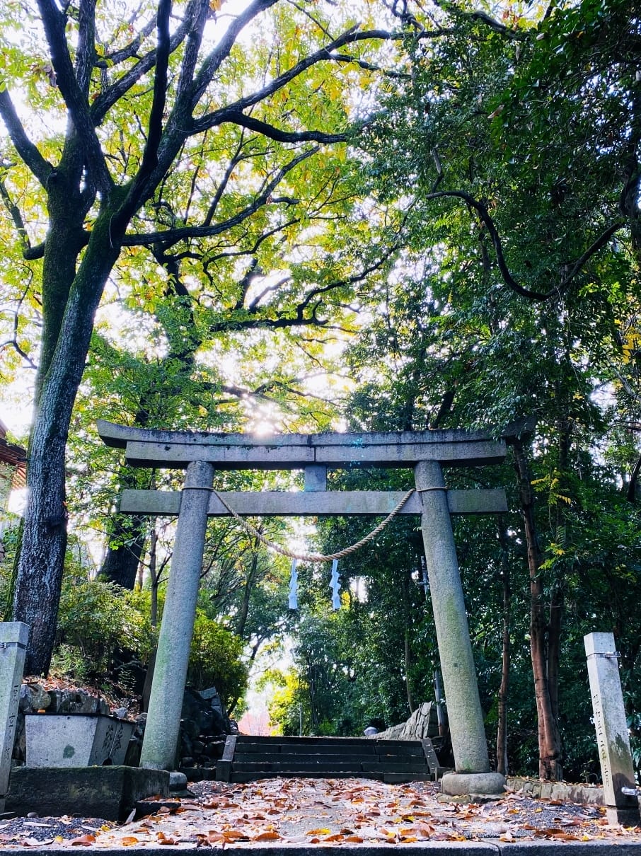 【岡山縣】(2023-2024關西+岡山+倉敷超值票券)一日 【岡山縣】(2023-2024關西+岡山+倉敷超值票券)一日